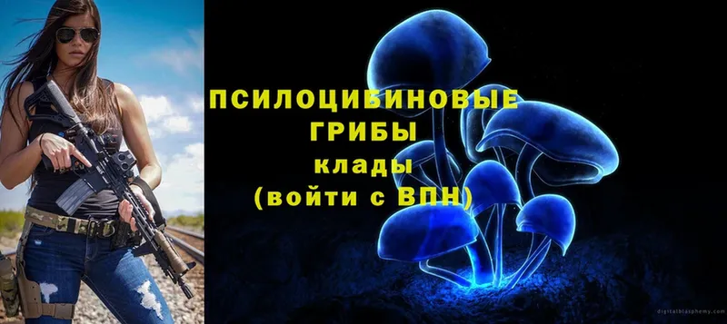 Галлюциногенные грибы Magic Shrooms  Моздок 